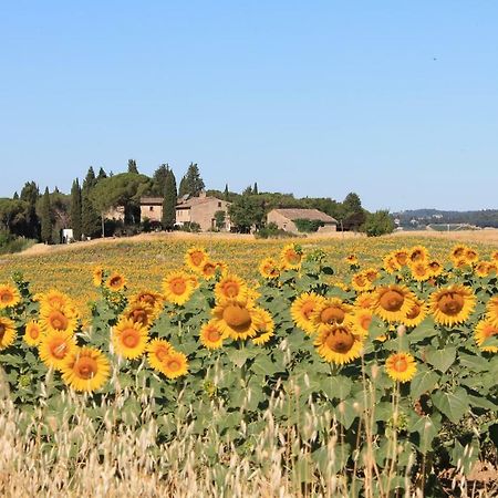 Il Poggio B&B Ginestra Fiorentina Luaran gambar
