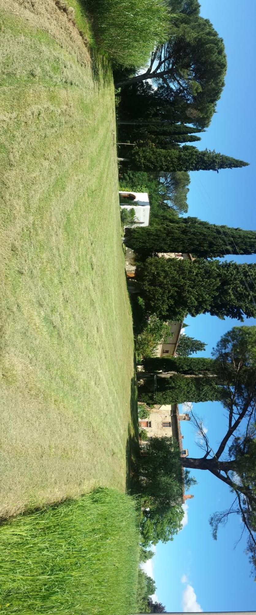 Il Poggio B&B Ginestra Fiorentina Luaran gambar