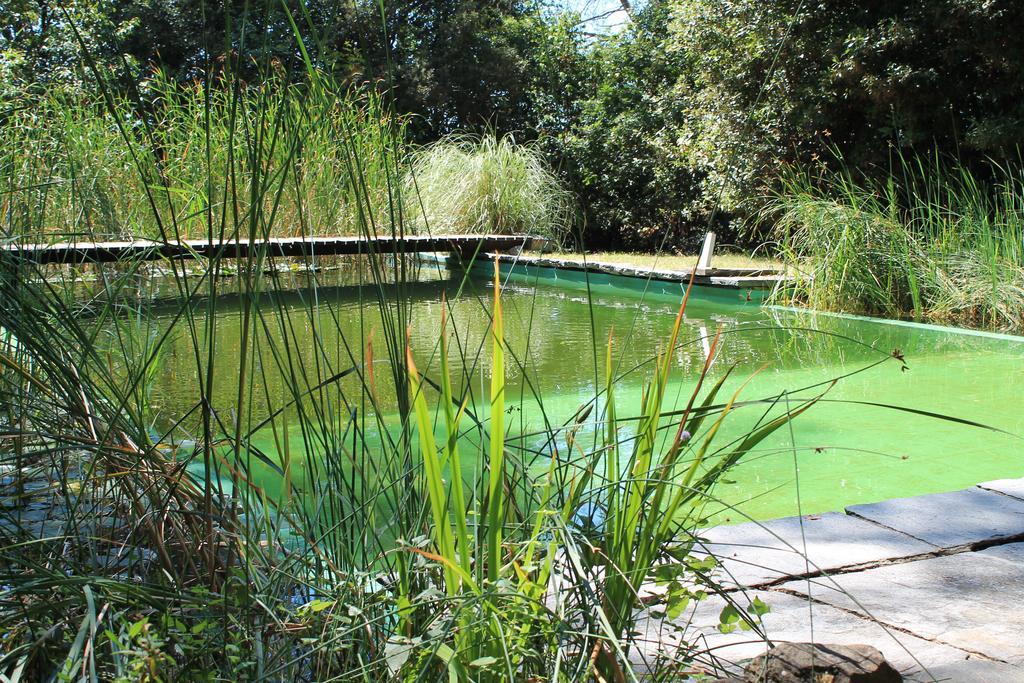 Il Poggio B&B Ginestra Fiorentina Luaran gambar
