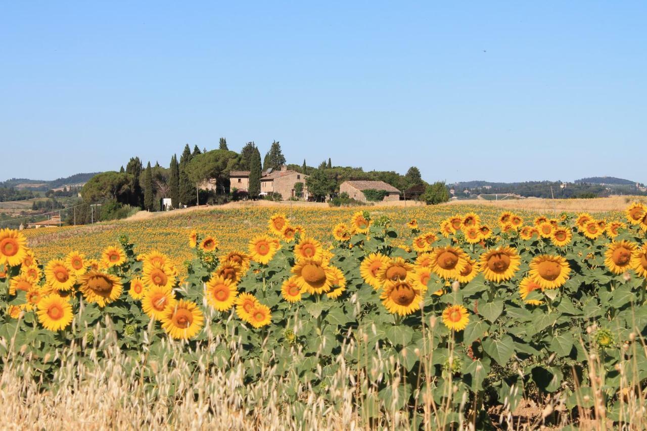 Il Poggio B&B Ginestra Fiorentina Luaran gambar